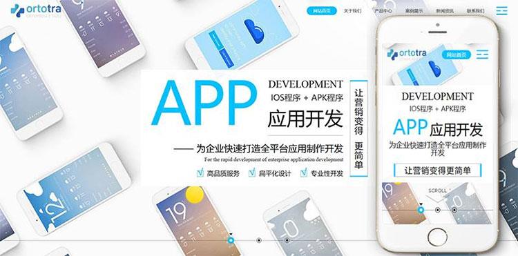 企业组建APP开发定制团队需要多少人与费用资金？